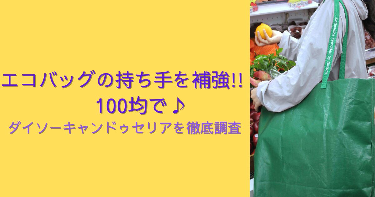 エコバッグの持ち手を補強!!100均で♪ダイソーキャンドゥセリアを徹底調査