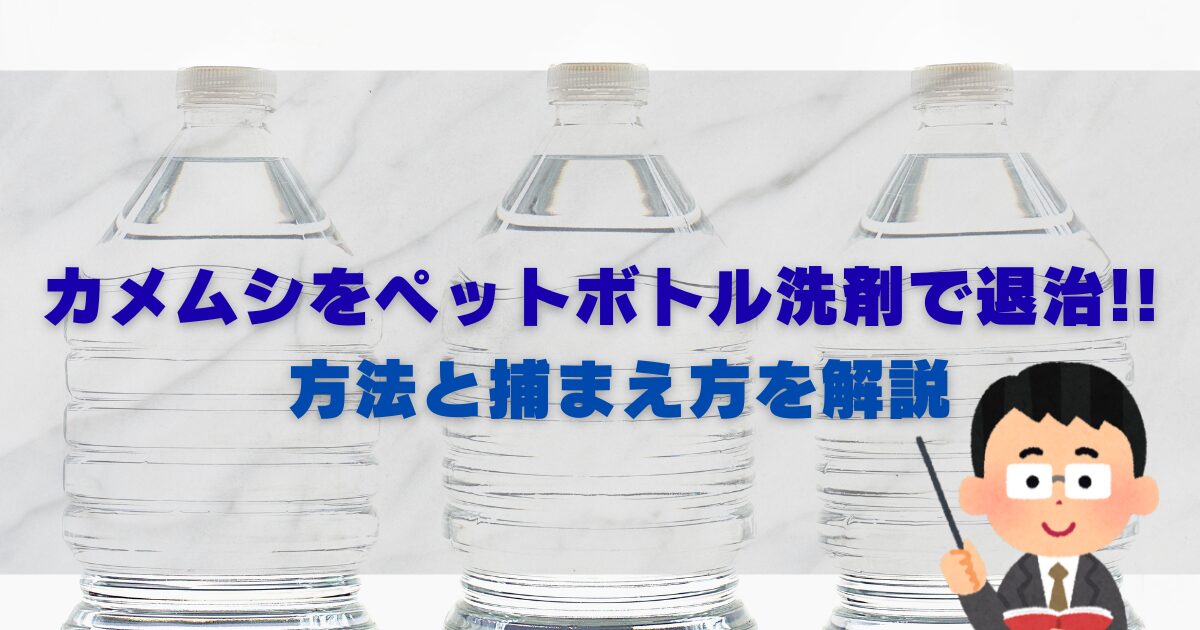 カメムシをペットボトル洗剤で退治!!方法と捕まえ方を解説