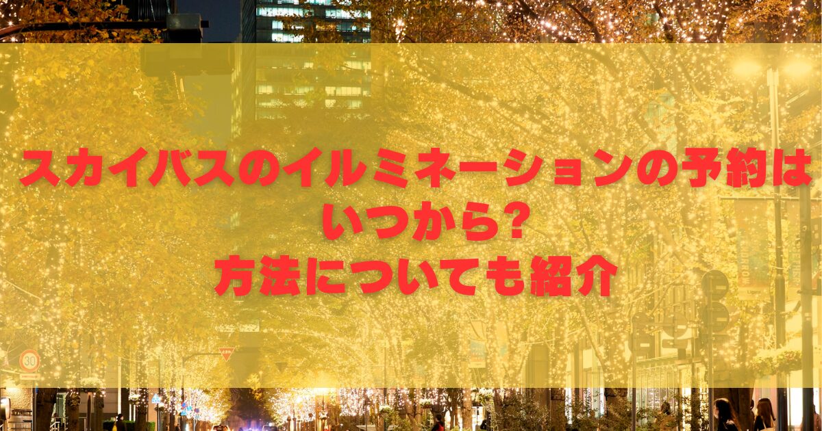スカイバスのイルミネーションの予約はいつから?方法についても紹介