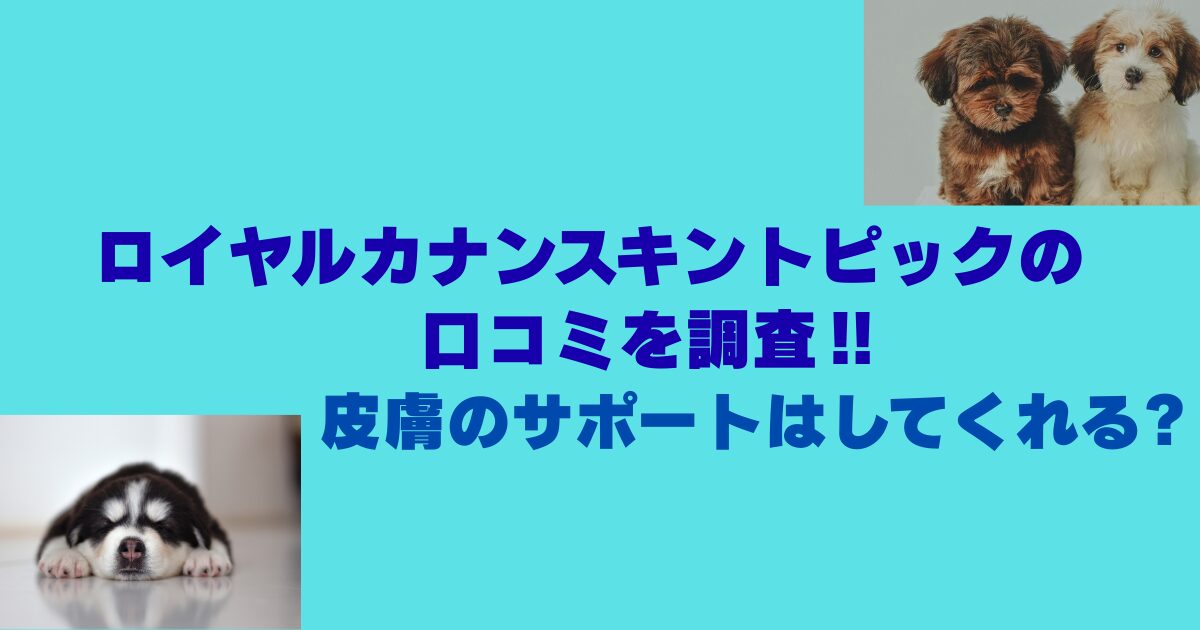ロイヤルカナンスキントピックの口コミを調査‼皮膚のサポートはしてくれる?